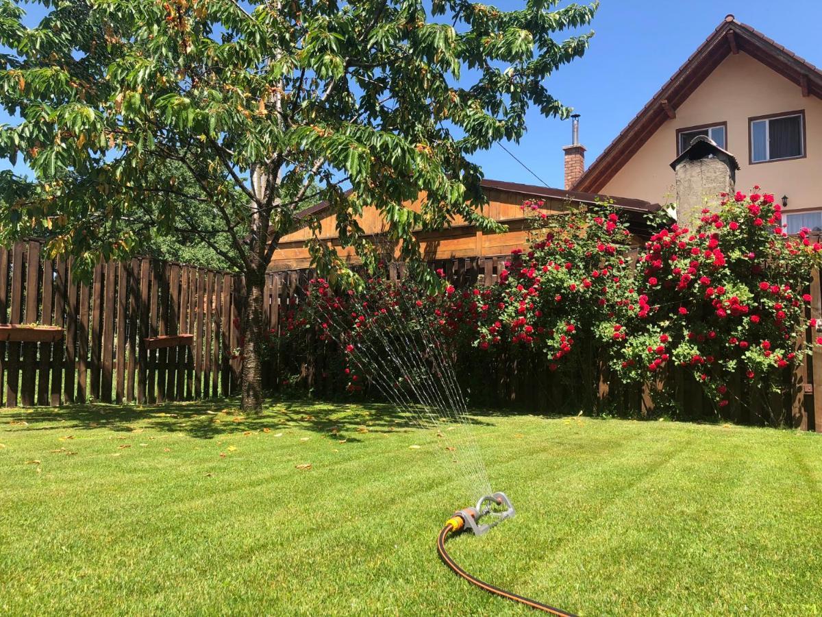 Pensiunea Aliart Zărneşti Exterior foto