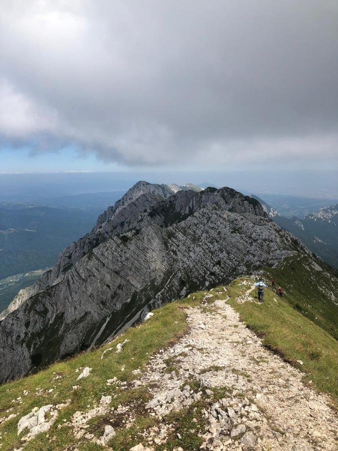 Pensiunea Aliart Zărneşti Exterior foto