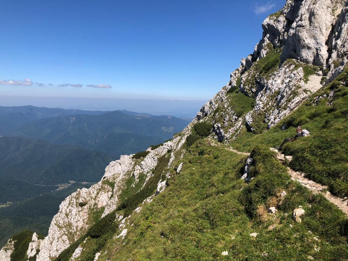 Pensiunea Aliart Zărneşti Exterior foto