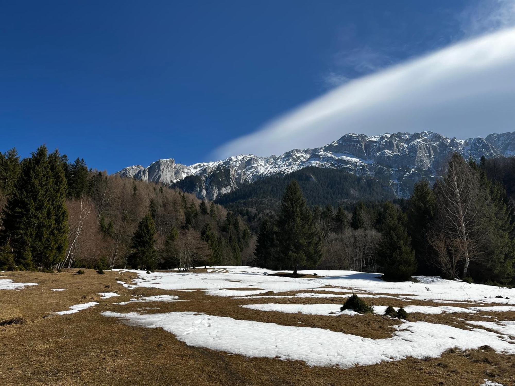 Pensiunea Aliart Zărneşti Exterior foto
