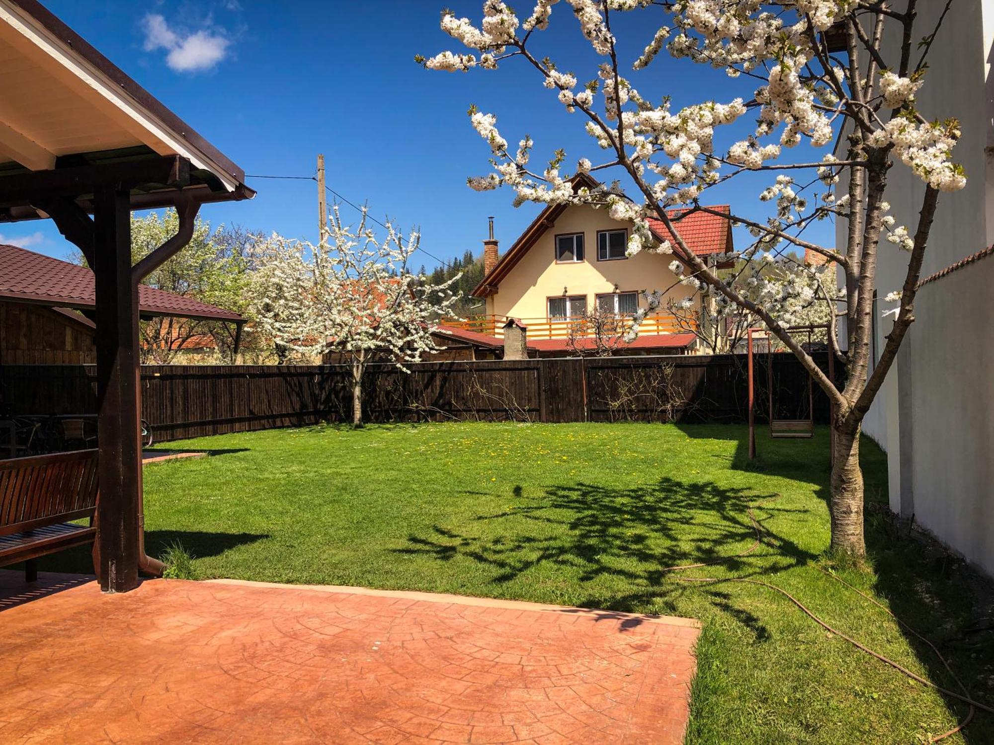 Pensiunea Aliart Zărneşti Exterior foto