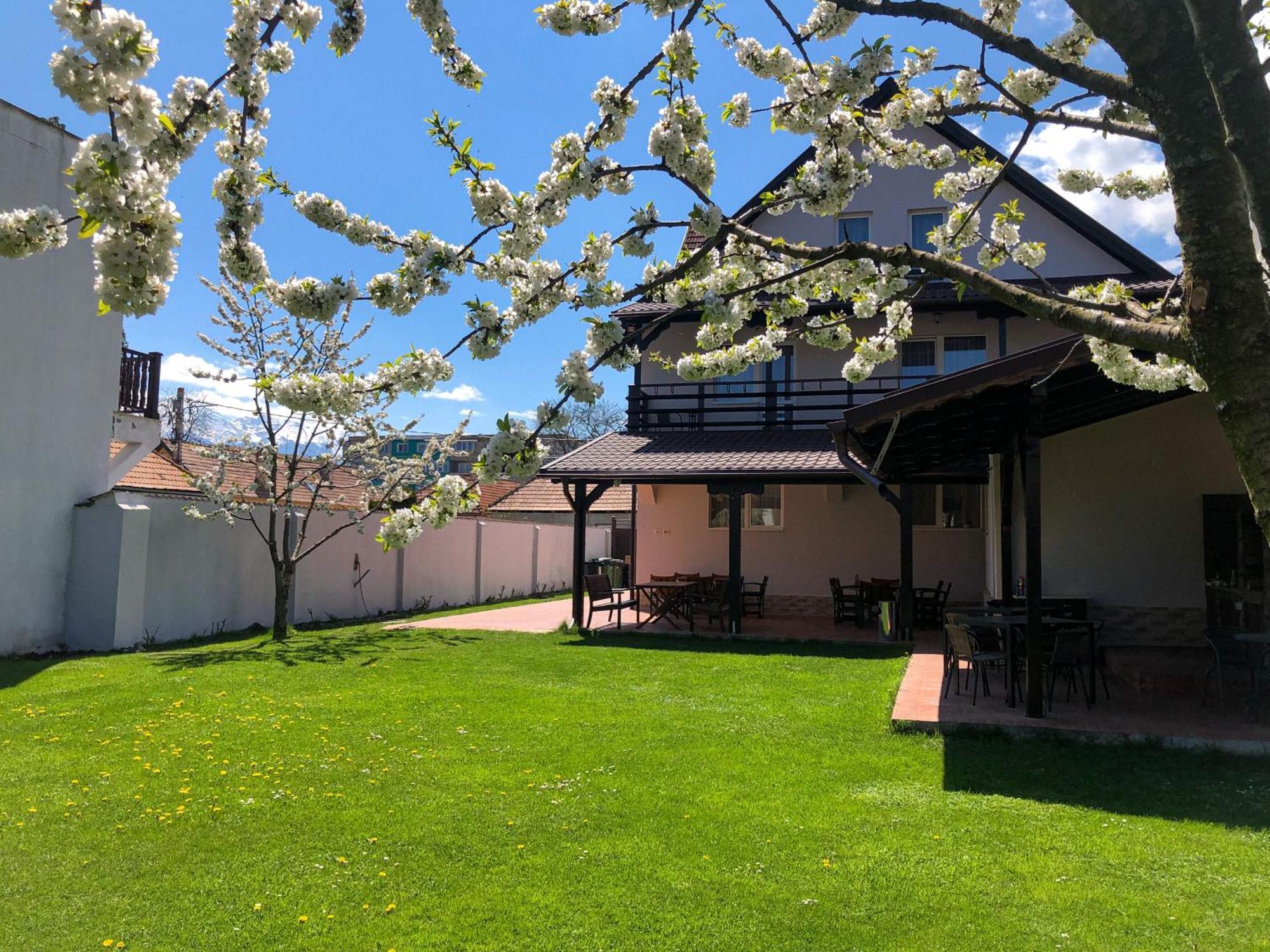 Pensiunea Aliart Zărneşti Exterior foto